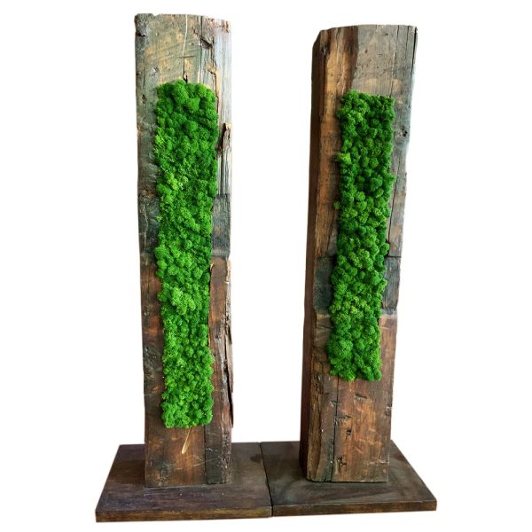 Totem