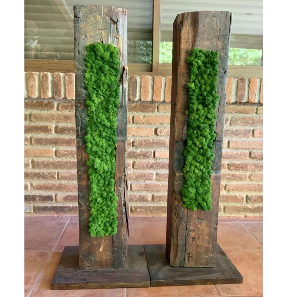 Totem - Imagen 4