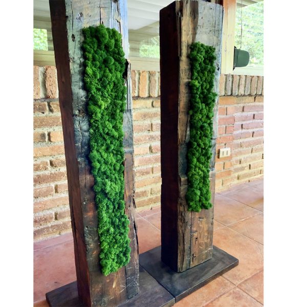Totem - Imagen 3