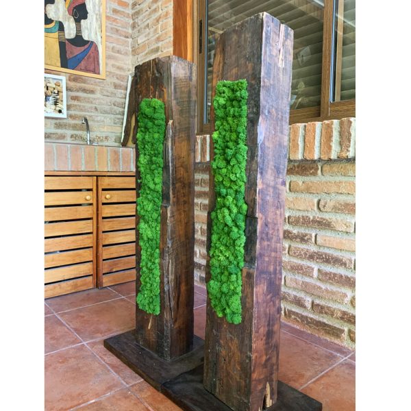 Totem - Imagen 2